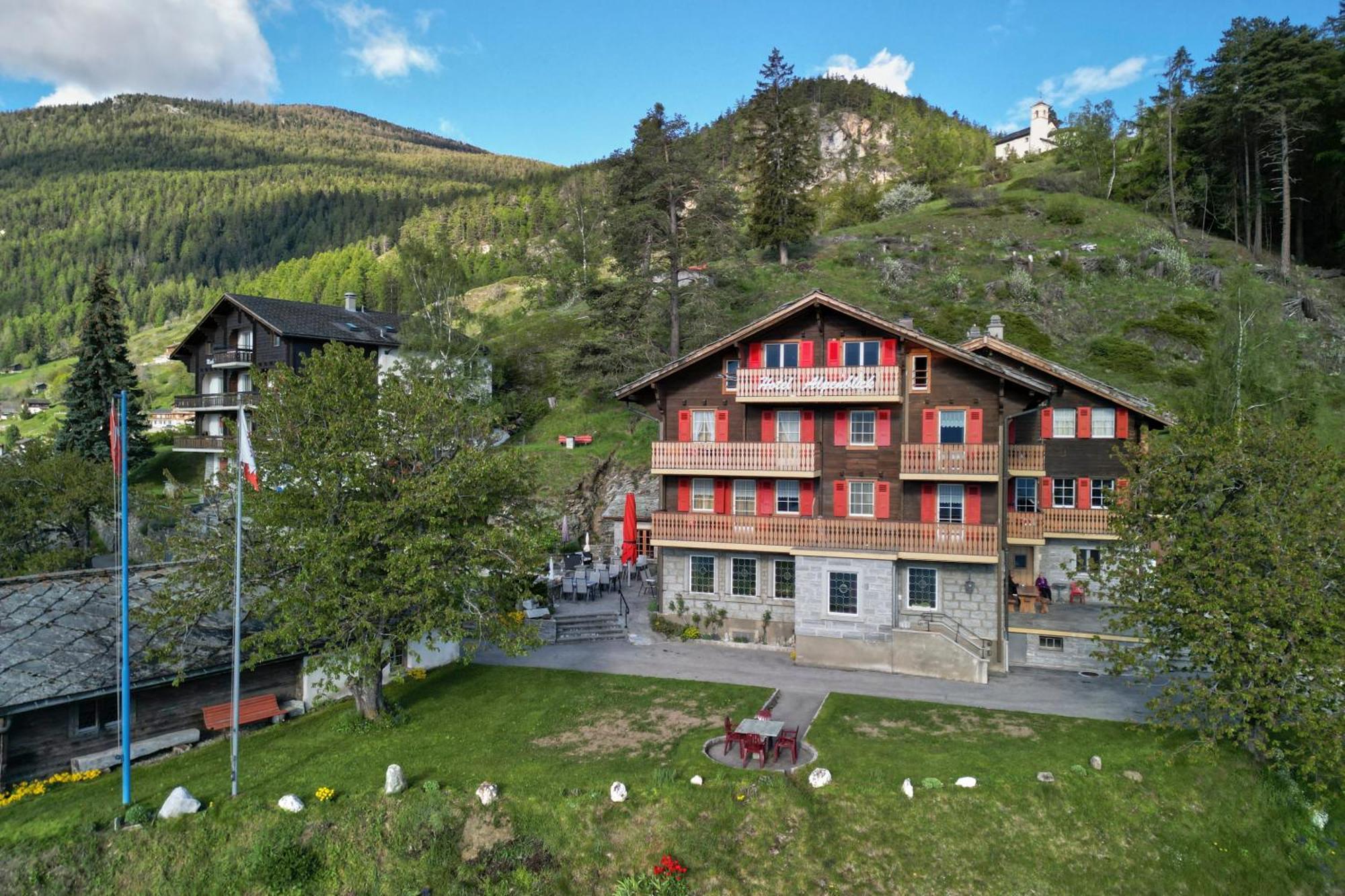 Hotel Alpenblick Zeneggen エクステリア 写真