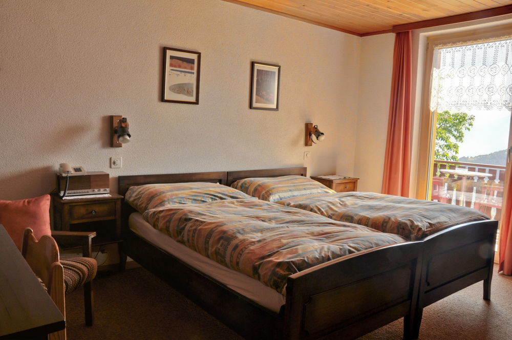 Hotel Alpenblick Zeneggen エクステリア 写真