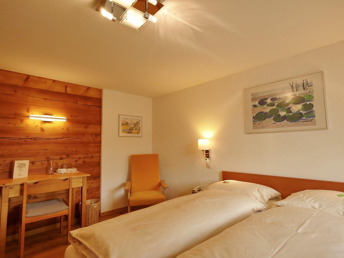 Hotel Alpenblick Zeneggen エクステリア 写真