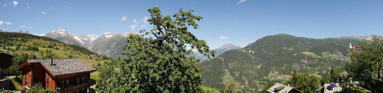 Hotel Alpenblick Zeneggen エクステリア 写真