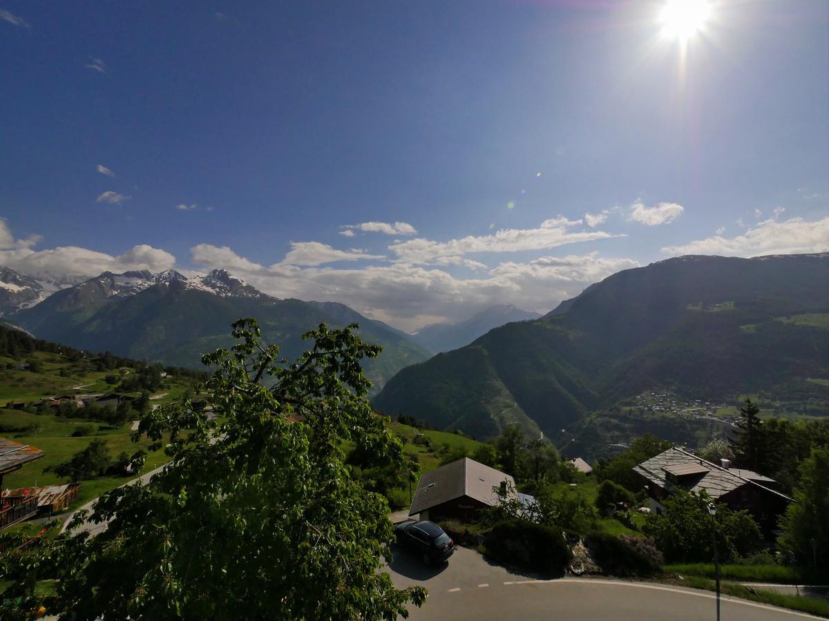 Hotel Alpenblick Zeneggen エクステリア 写真