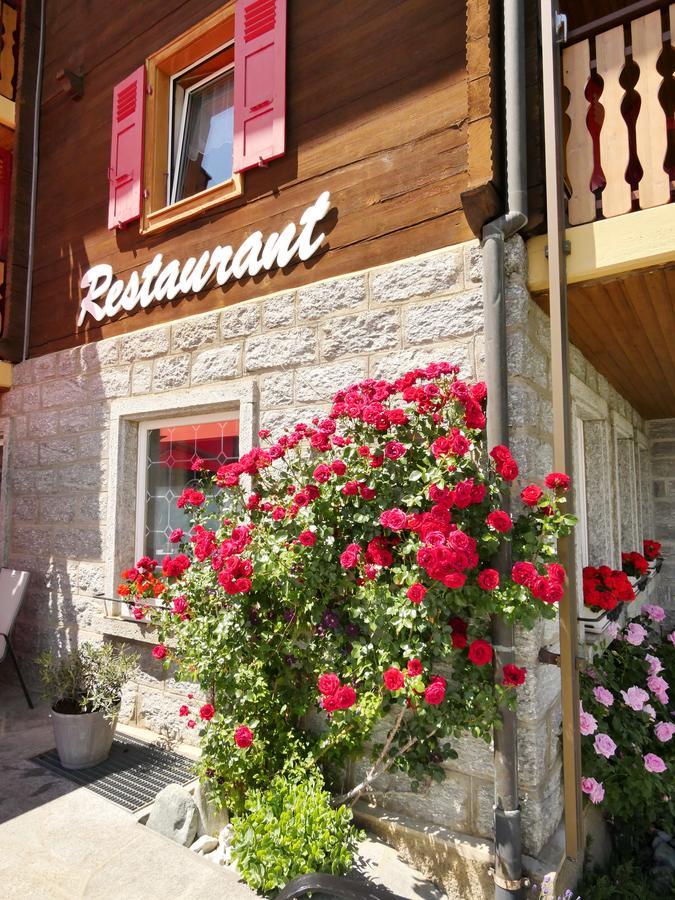 Hotel Alpenblick Zeneggen エクステリア 写真