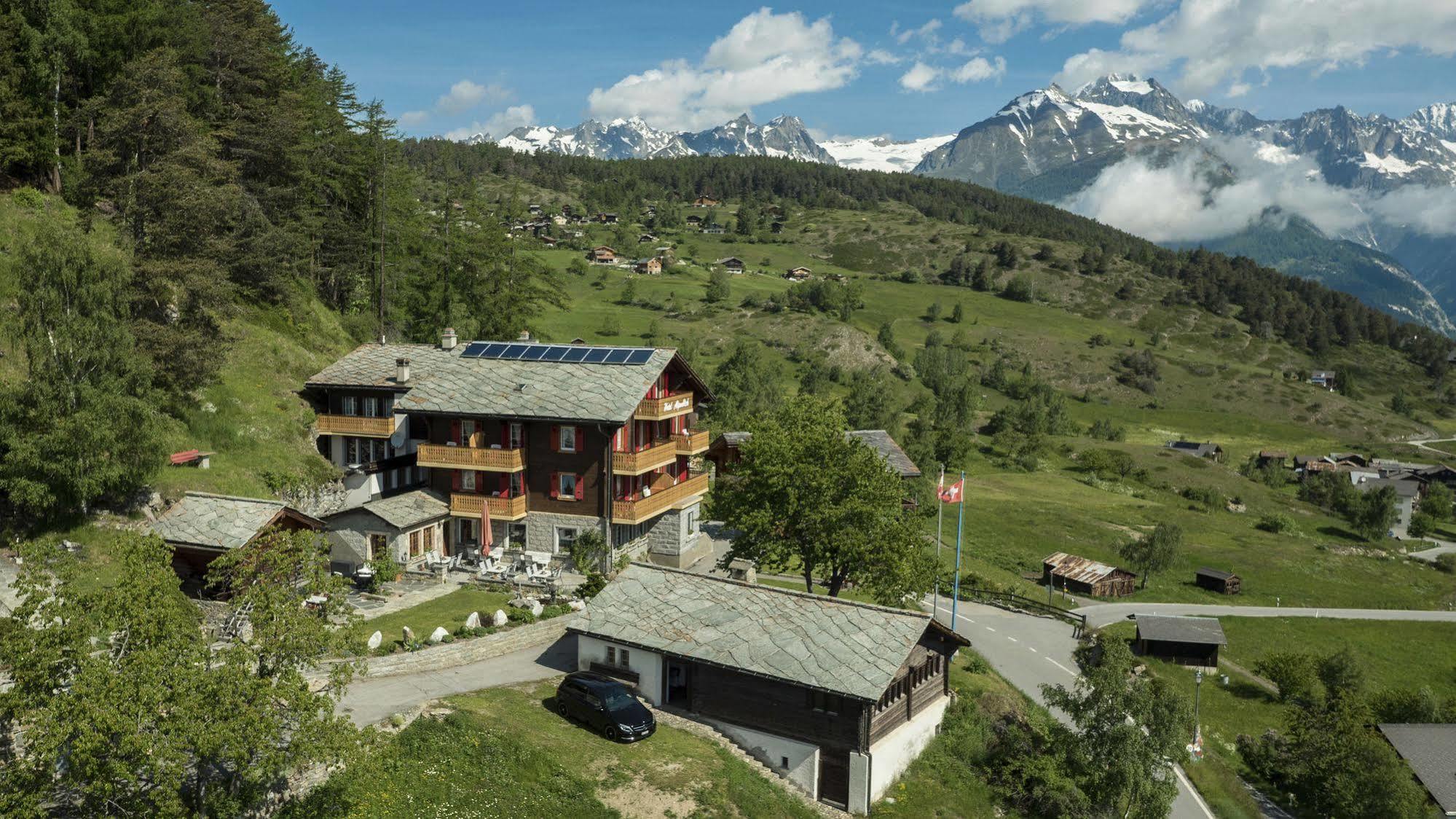Hotel Alpenblick Zeneggen エクステリア 写真